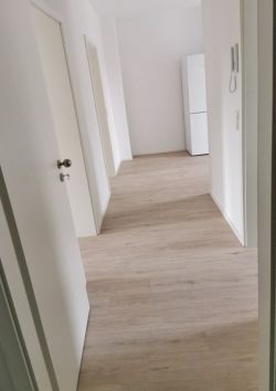 Eingang / Diele Eingang / Diele