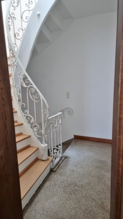 Blick Wohn.-Tür in Treppenhaus Blick Wohn.-Tür in Treppenhaus